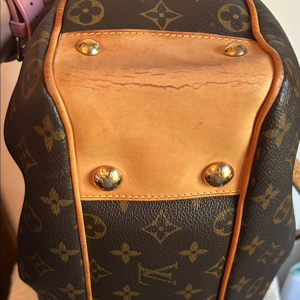 Louis Vuitton Tan and Brown Monogram Shoulder Bag - Picture 9 of 16